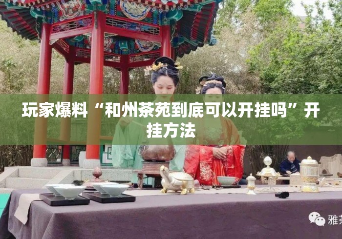 玩家爆料“和州茶苑到底可以开挂吗”开挂方法