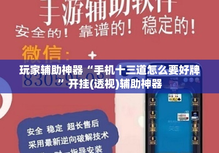 玩家辅助神器“手机十三道怎么要好牌”开挂(透视)辅助神器