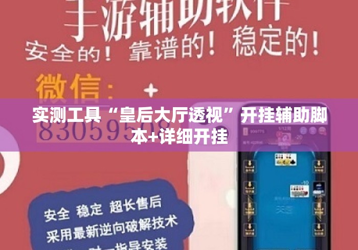 实测工具“皇后大厅透视	”开挂辅助脚本+详细开挂