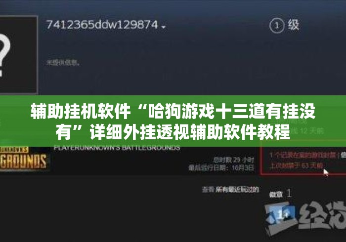 辅助挂机软件“哈狗游戏十三道有挂没有	”详细外挂透视辅助软件教程