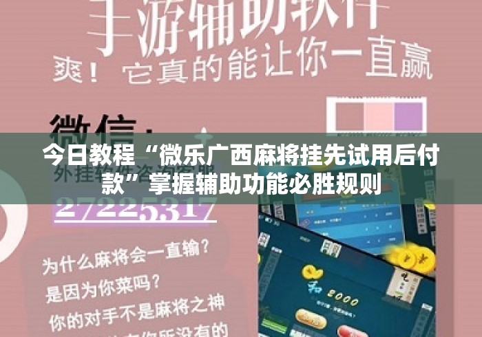 今日教程“微乐广西麻将挂先试用后付款	”掌握辅助功能必胜规则