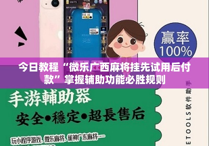 今日教程“微乐广西麻将挂先试用后付款	”掌握辅助功能必胜规则