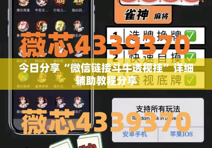 今日分享“微信链接斗牛透视挂”详细辅助教程分享