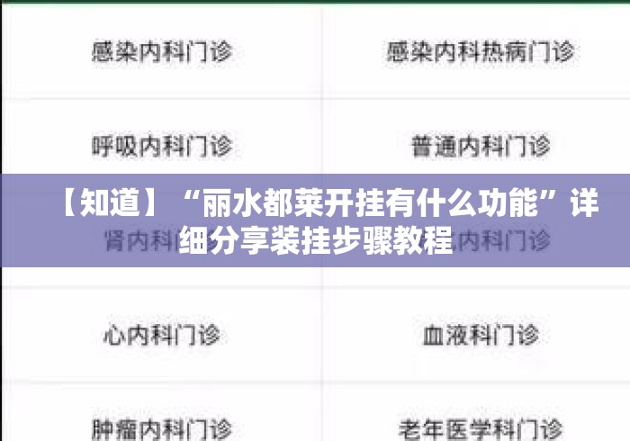 【知道】“丽水都莱开挂有什么功能”详细分享装挂步骤教程