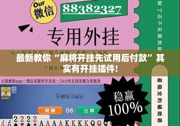 最新教你“麻将开挂先试用后付款”其实有开挂插件!