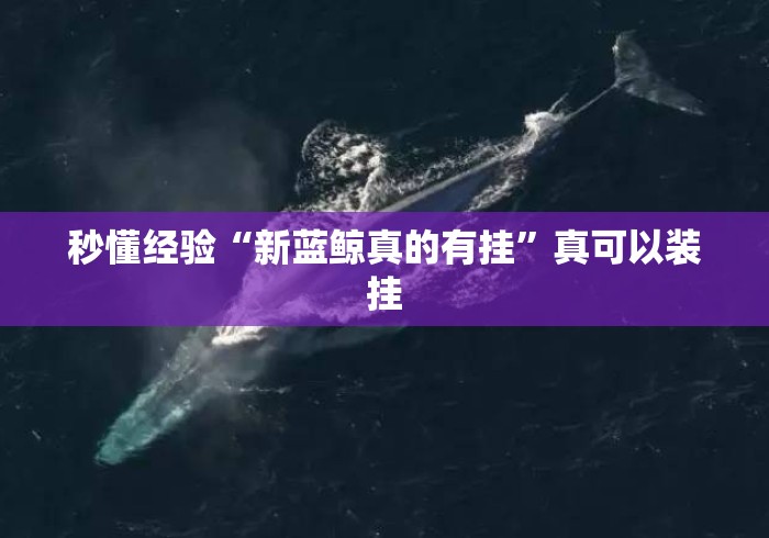秒懂经验“新蓝鲸真的有挂”真可以装挂