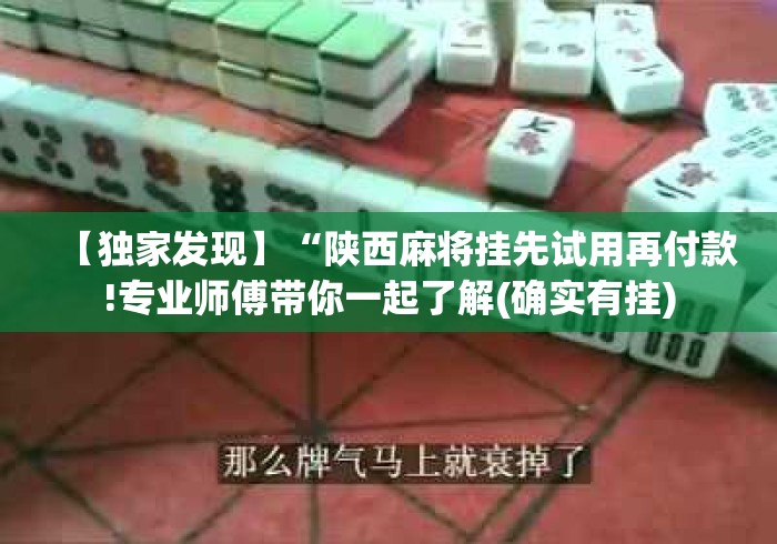 【独家发现】“陕西麻将挂先试用再付款!专业师傅带你一起了解(确实有挂)