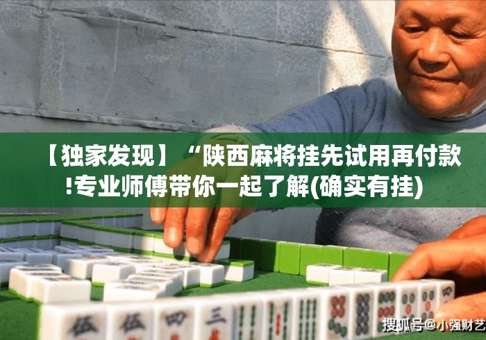 【独家发现】“陕西麻将挂先试用再付款!专业师傅带你一起了解(确实有挂)
