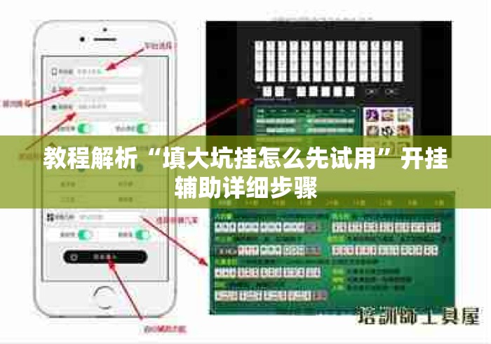 教程解析“填大坑挂怎么先试用	”开挂辅助详细步骤