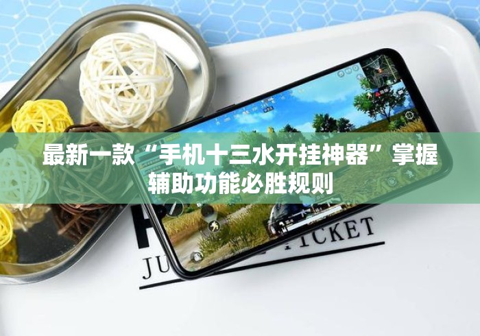 最新一款“手机十三水开挂神器”掌握辅助功能必胜规则
