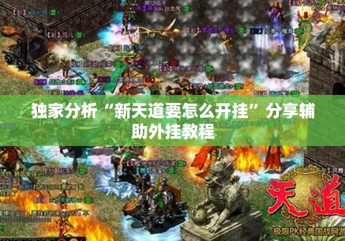 独家分析“新天道要怎么开挂”分享辅助外挂教程