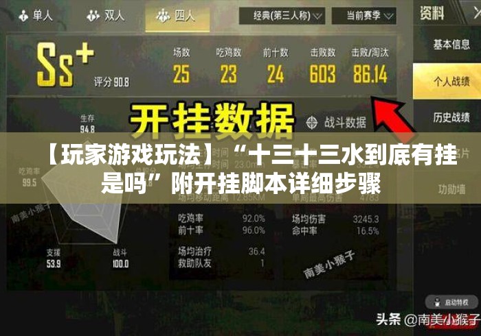 【玩家游戏玩法】“十三十三水到底有挂是吗”附开挂脚本详细步骤
