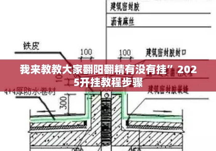 我来教教大家翻阳翻精有没有挂”2025开挂教程步骤