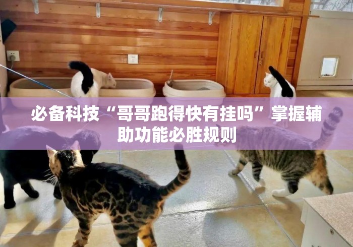 必备科技“哥哥跑得快有挂吗	”掌握辅助功能必胜规则