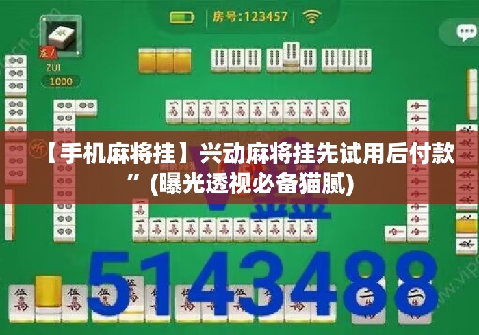【手机麻将挂】兴动麻将挂先试用后付款	”(曝光透视必备猫腻)
