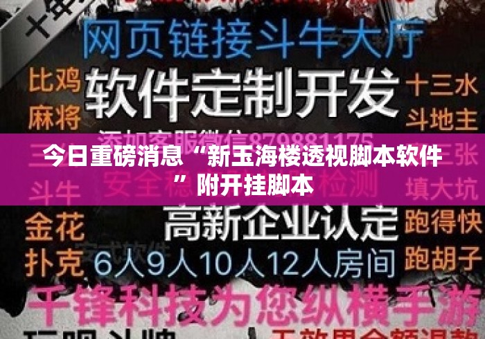 今日重磅消息“新玉海楼透视脚本软件	”附开挂脚本