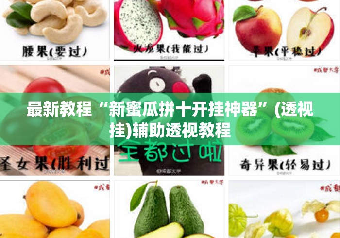 最新教程“新蜜瓜拼十开挂神器”(透视挂)辅助透视教程