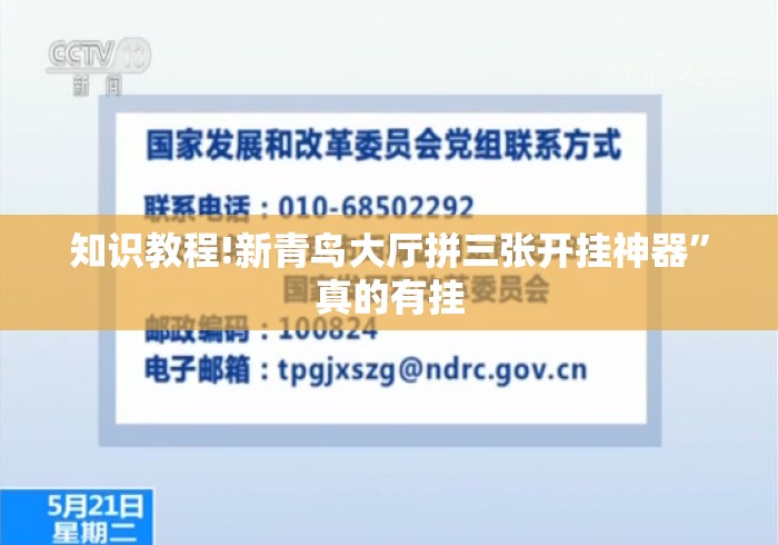 知识教程!新青鸟大厅拼三张开挂神器”真的有挂