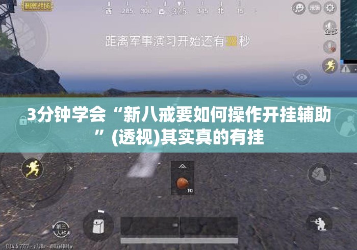 3分钟学会“新八戒要如何操作开挂辅助	”(透视)其实真的有挂