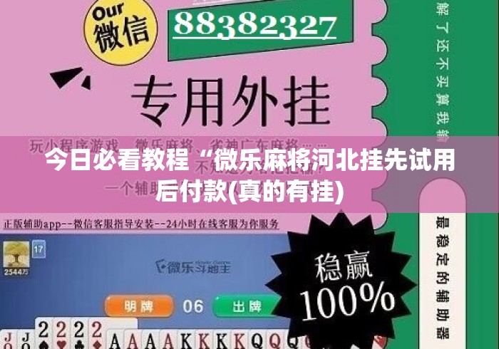 专家分析“如何在微乐麻将上开挂教程”附透视挂详细教程