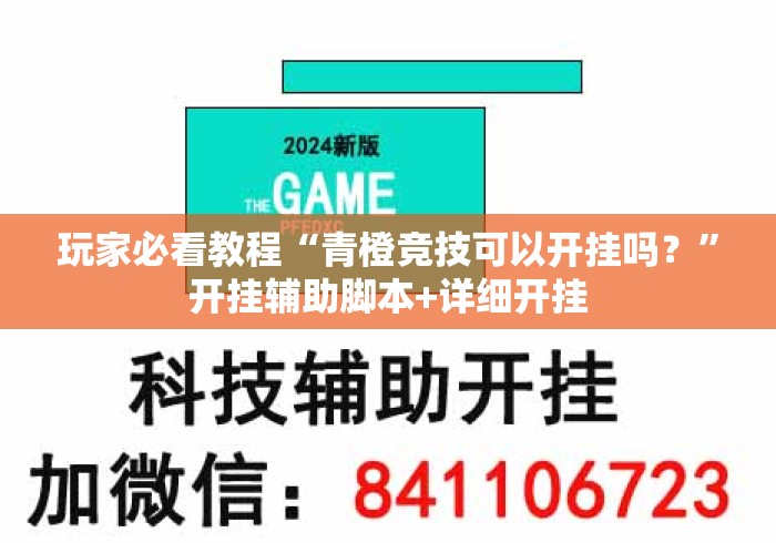 玩家必看教程“青橙竞技可以开挂吗？”开挂辅助脚本+详细开挂