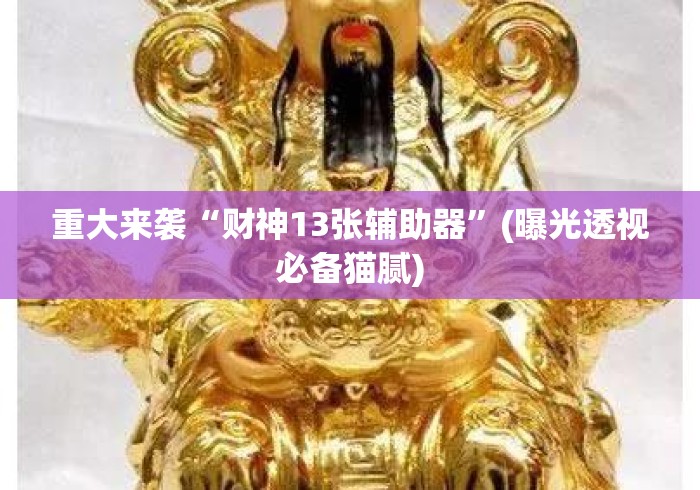 重大来袭“财神13张辅助器”(曝光透视必备猫腻)