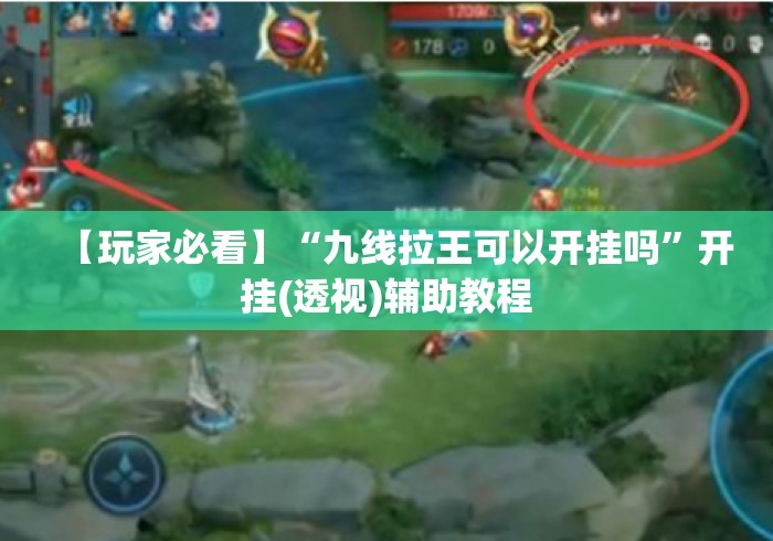 【玩家必看】“九线拉王可以开挂吗”开挂(透视)辅助教程