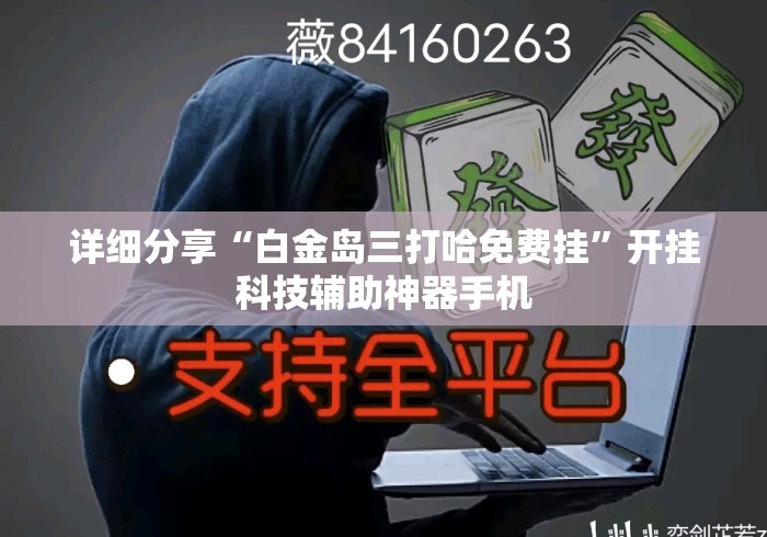 详细分享“白金岛三打哈免费挂	”开挂科技辅助神器手机
