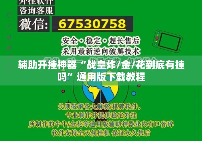 辅助开挂神器“战皇炸/金/花到底有挂吗”通用版下载教程