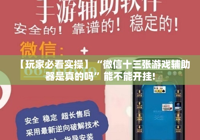 【玩家必看实操】“微信十三张游戏辅助器是真的吗	”能不能开挂!