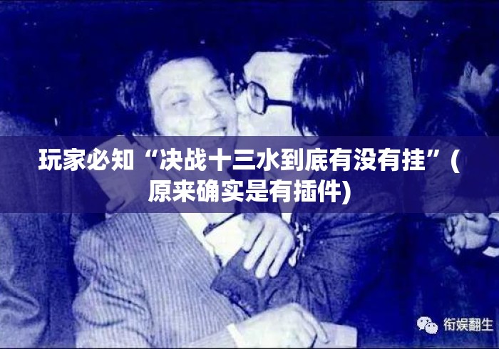 玩家必知“决战十三水到底有没有挂”(原来确实是有插件)