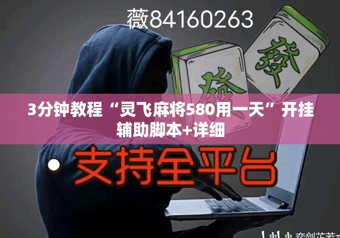 3分钟教程“灵飞麻将580用一天”开挂辅助脚本+详细