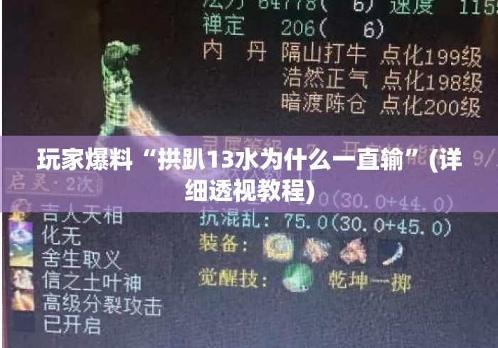 玩家爆料“拱趴13水为什么一直输	”(详细透视教程)