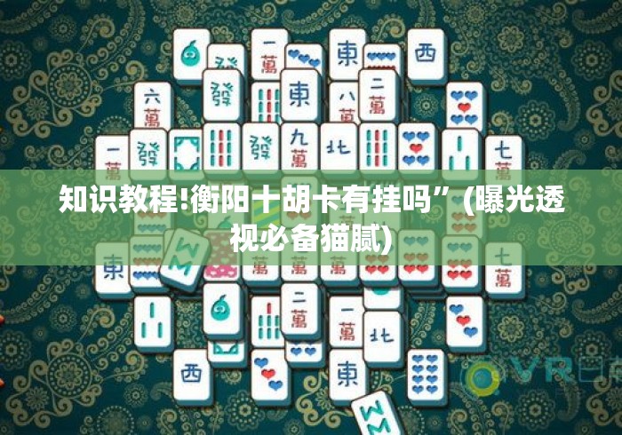 知识教程!衡阳十胡卡有挂吗”(曝光透视必备猫腻)