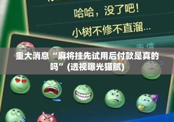 重大消息“麻将挂先试用后付款是真的吗	”(透视曝光猫腻)