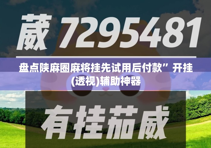 盘点陕麻圈麻将挂先试用后付款”开挂(透视)辅助神器