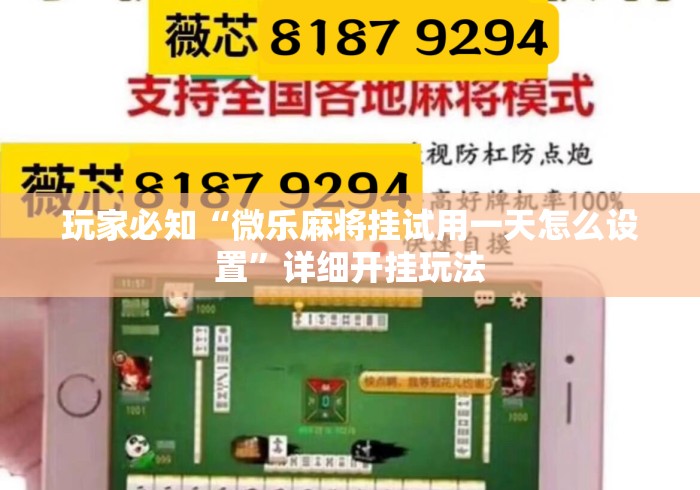 玩家必知“微乐麻将挂试用一天怎么设置	”详细开挂玩法