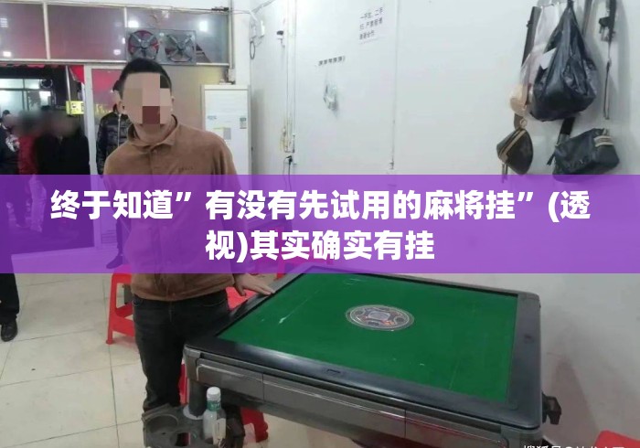 终于知道	”有没有先试用的麻将挂”(透视)其实确实有挂