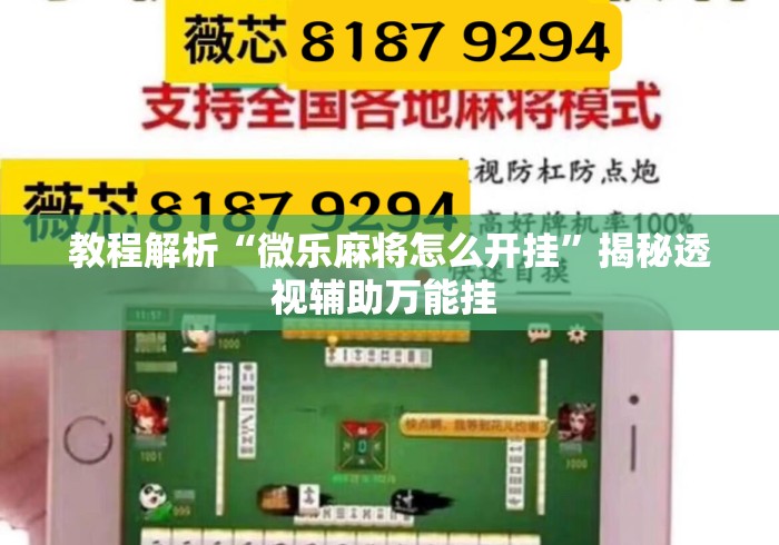 教程解析“微乐麻将怎么开挂”揭秘透视辅助万能挂 