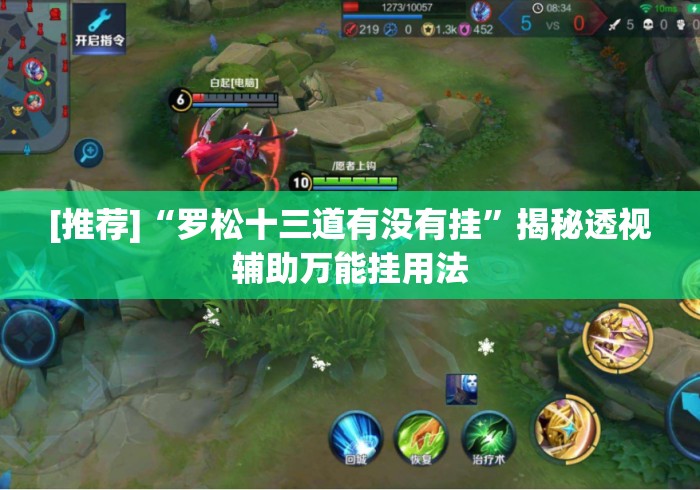[推荐]“罗松十三道有没有挂”揭秘透视辅助万能挂用法