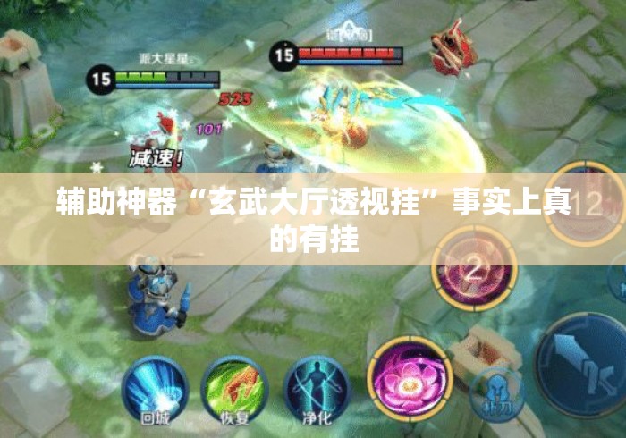 辅助神器“玄武大厅透视挂”事实上真的有挂