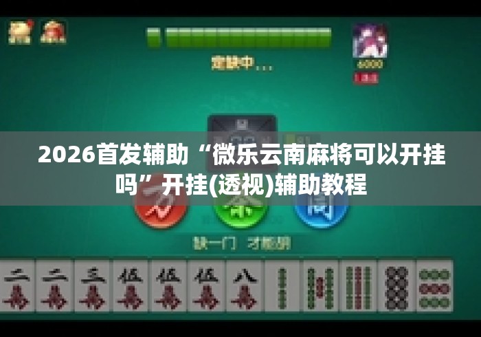 2026首发辅助“微乐云南麻将可以开挂吗”开挂(透视)辅助教程