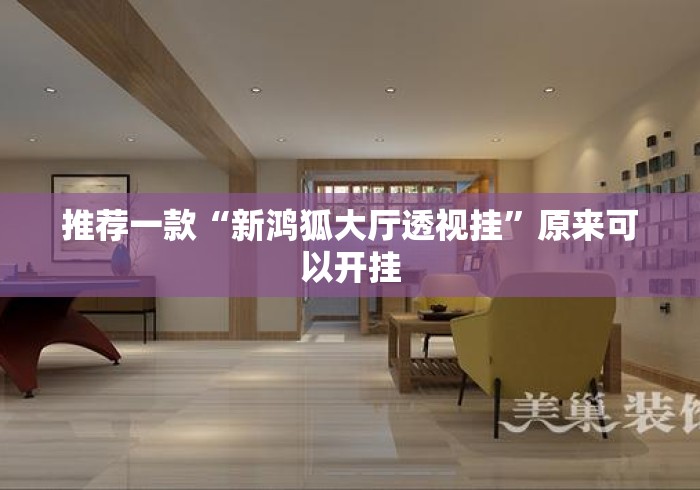 推荐一款“新鸿狐大厅透视挂”原来可以开挂