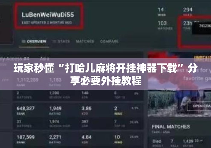 玩家秒懂“打哈儿麻将开挂神器下载	”分享必要外挂教程