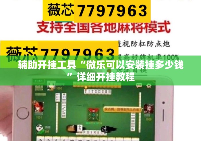 辅助开挂工具“微乐可以安装挂多少钱”详细开挂教程