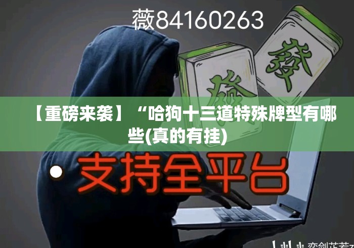 【重磅来袭】“哈狗十三道特殊牌型有哪些(真的有挂) 【重磅来袭】“哈狗十三道特殊牌型有哪些(真的有挂)