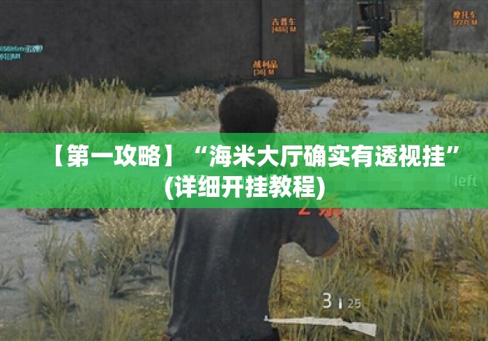 【第一攻略】“海米大厅确实有透视挂	”(详细开挂教程)