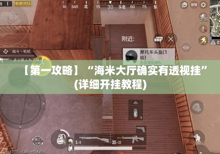 【第一攻略】“海米大厅确实有透视挂”(详细开挂教程)