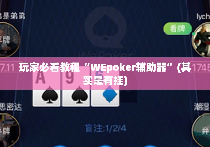 玩家必看教程“WEpoker辅助器	”(其实是有挂)