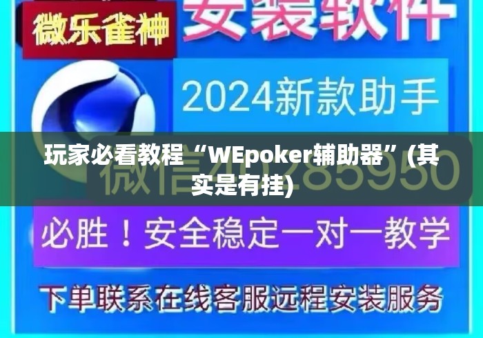 玩家必看教程“WEpoker辅助器”(其实是有挂)